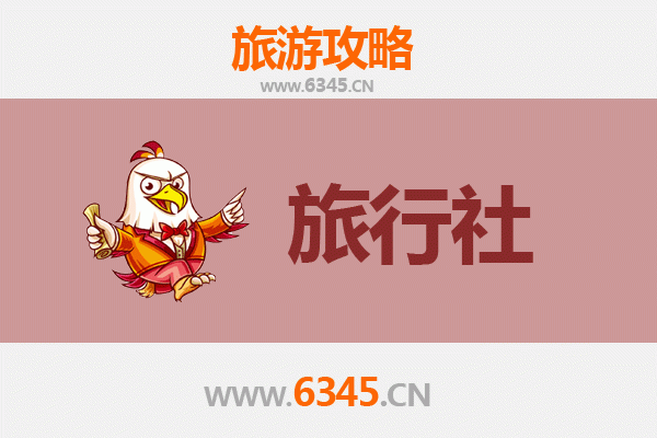 郑州金水区旅行社精选推荐：本地人私藏的旅行规划指南